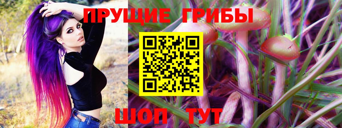 Галлюциногенные грибы Psilocybe  Псилоцибиновые грибы Cubensis  Вход с VPN  Заводоуковск 